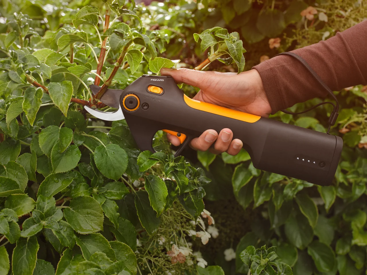 Fiskars ePruner M në përdorim për krasitjen e degëve